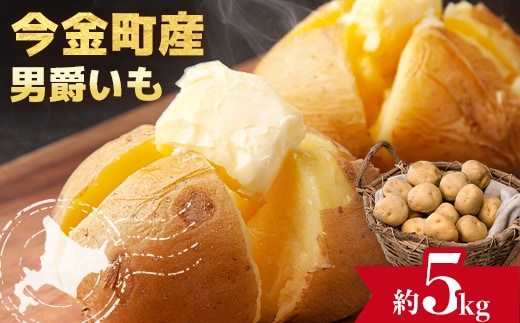 【先行予約】北海道今金町産男爵いも 約5kg 【2026年10月下旬以降順次出荷】北海道産 じゃがいも ジャガイモ だんしゃく 男爵 男爵いも 先行予約 野菜 ほくほく しっとり 常備野菜 野菜 F21X-485