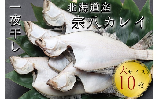 【リピーター続出！】北海道産 宗八かれい 大サイズ10枚(約2kg) カレイ 一夜干し 漁師直送 干物 煮付け 塩焼き 唐揚げ 海鮮 せたな町 ふるさと納税