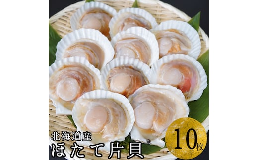 【海鮮BBQにおすすめ】北海道産 ほたて片貝 10枚 ウロ処理済み 洗浄済み殻つき 下処理済 バター焼き ご飯 冷凍 旬 おつまみ 海鮮 せたな町 ふるさと納税