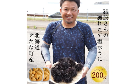 【2026年7月1日から順次発送】【産地直送】北海道産 塩水うに 200g キタムラサキウニ ミョウバン不使用 直送 旬 パスタ 寿司 焼き うに丼 海鮮 せたな町 ふるさと納税