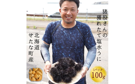 【2026年7月1日から順次発送】【産地直送】北海道産 塩水うに 100g キタムラサキウニ ミョウバン不使用 直送 旬 パスタ 寿司 焼き うに丼 海鮮 せたな町 ふるさと納税