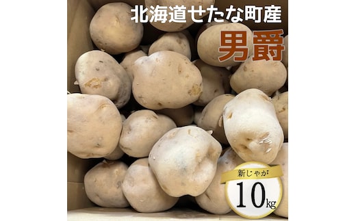 【2026年10下旬から順次発送】【令和8年産】北海道 せたな町産 男爵 10kg 男爵いも 芋 新じゃが じゃがいも 野菜 ふるさと納税