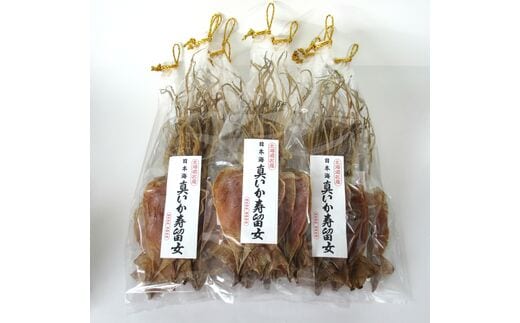 【無添加】北海道産 するめ 62枚セット するめいか 産地直送 ダイエット 炙り おつまみ 海鮮 せたな町 ふるさと納税