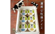 【北海道産搾りたて生乳使用】ひらかわ牧場のアイスクリーム おすすめ2種12個セット フレッシュミルク キャラメルクランチ デザート スイーツ お取り寄せ ギフト せたな町 ふるさと納税　