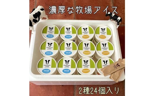 【北海道産搾りたて生乳使用】ひらかわ牧場のアイスクリーム おすすめ2種24個セット フレッシュミルク キャラメルクランチ デザート スイーツ お取り寄せ ギフト せたな町 ふるさと納税