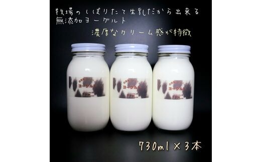 【北海道産搾りたて生乳100%使用】よーぐると工房Bawのプレミアムヨーグルト 加糖 730ml×3本 無添加 デザート スイーツ ミルク 牛乳 産地直送 せたな町 ふるさと納税