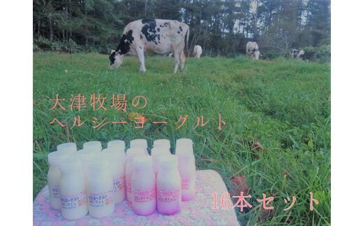 【大津牧場の搾りたてミルク使用】北海道産 のむヨーグルト ヘルシーセット 16本 プレーン無糖 ビーツ ダイエット 産地直送 牛乳 ヨーグルト せたな町 ふるさと納税