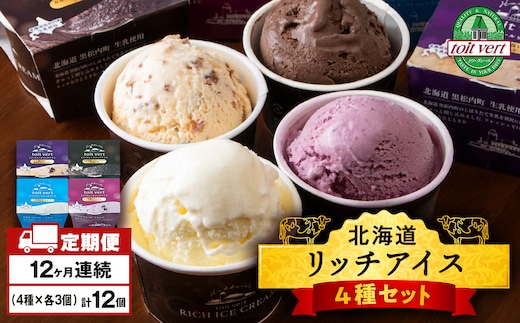 【定期便12ヶ月】リッチアイスクリーム 12個セット（100ml）【4種×各3個】アイス スイーツ おやつ 冷凍 食べ比べ