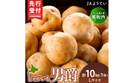 【2026年秋発送 先行予約】じゃがいも 馬鈴薯（男爵）Ｌサイズ 10kｇ＜JAようてい＞ ジャガイモ 芋 いも イモ 野菜 常温