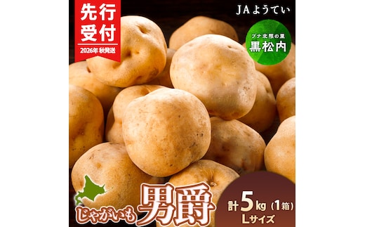 【2026年秋発送 先行予約】じゃがいも 馬鈴薯（男爵）Ｌサイズ 5kｇ＜JAようてい＞ジャガイモ 芋 いも イモ 野菜 常温