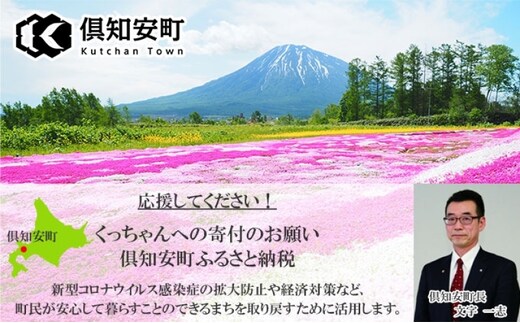 北海道 ニセコ東急グラン・ヒラフスキー場 ヒラフHANAZONO共通1日券（1 