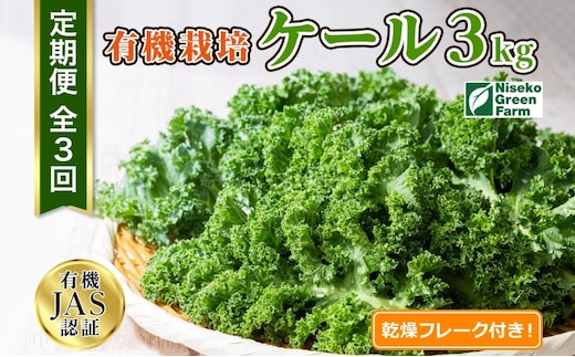 【2026年発送】北海道 定期便 3ヵ月連続3回 北海道 有機栽培 ケール 1kg 乾燥フレーク付 オーガニック 有機野菜 緑黄色野菜 JAS 冷蔵 産直 産地直送 国産