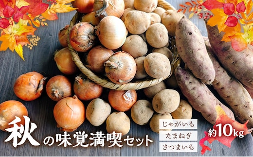 【2026年発送】 北海道 オーガニック 秋の味覚 じゃがいも 玉ねぎ さつまいも 約10kg 札幌黄 キタアカリ 馬鈴薯 ポテト サツマイモ 有機野菜 JAS 産直 産地直送 
