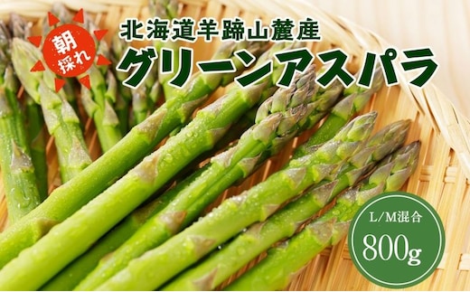 北海道 グリーンアスパラガス 約800g M-L サイズ混合 アスパラガス アスパラ 朝採れ 採れたて 新鮮 野菜 農作物 産直 国産 羊蹄山麓産 JAようてい