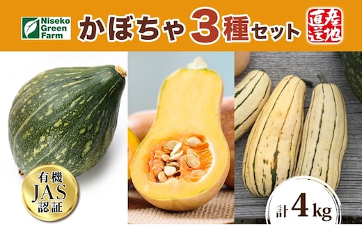 【2026年発送】北海道 オーガニック ３種 の かぼちゃBOX 計約4kg カボチャ デリカタ ミニバターナッツ ロロン 南瓜 有機野菜 野菜 有機栽培 JAS 産直 産地直送 国産 ニセコグリーンファーム