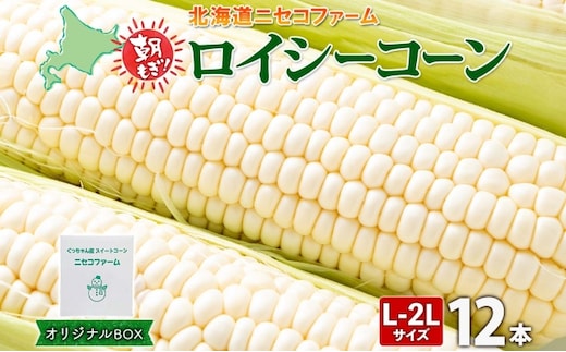 【 2026年 発送 】 北海道産 とうもろこし 計12本 L-2L サイズ混合 ロイシーコーン 大きめ 旬 朝採り 新鮮 トウモロコシ 甘い 夏野菜 とうきび お取り寄せ 産地直送 野菜 しりべしや 送料無料 