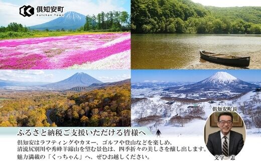 ニセコ全山共通リフトゴンドラ3日券交換券 | www.nov-ita.fr