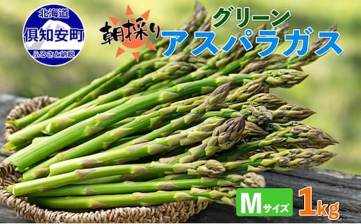 【2026年発送】 北海道 アスパラガス グリーン 1kg セット Mサイズ 春 限定 旬 朝採り 新鮮 野菜 アスパラ ギフト gift 産地直送 産直 お取り寄せ 詰め合わせ 送料無料 倶知安町