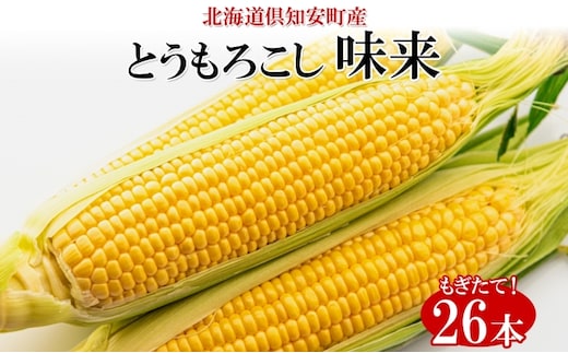 【 2026年 出荷 】 北海道産 朝もぎ イエロー とうもろこし 味来 みらい 2Lサイズ 26本 約10kg 夏野菜 とうきび 新鮮 野菜 トウモロコシ 甘い ギフト 産地直送 コーン 産直 グリーンアースファーム