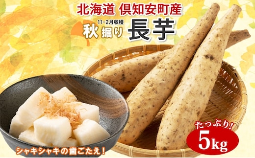 【 2026年 出荷 】 北海道 倶知安町産 長芋 2L×約6本 計5kg 秋堀り 芋 ながいも とろろ 新鮮 フレッシュ 野菜 農作物 産直 山芋 麦とろ 山かけ おつまみ グリーンアースファーム 送料無料 北海道 倶知安町 新鮮野菜 