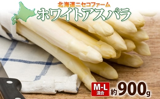 【 2026年 発送 】 北海道産 アスパラガス ホワイト 約 900g L - 2L サイズ 混合 アスパラ 旬 朝採り 新鮮 お取り寄せ 産地直送 産直 野菜 農作物 詰め合わせ 国産 北海道 倶知安町 