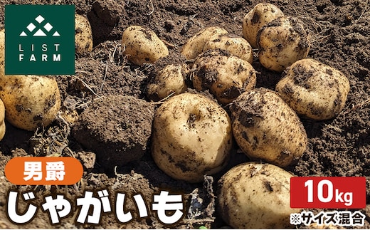 北海道 倶知安 じゃがいも 男爵 10kg リストファーム サイズ 混合 馬鈴薯 芋 ポテト イモ 産地直送 野菜