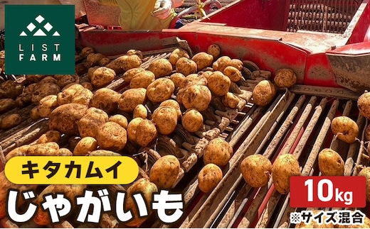 北海道 倶知安 じゃがいも キタカムイ 10kg リストファーム サイズ 混合 馬鈴薯 芋 ポテト イモ 産地直送 野菜