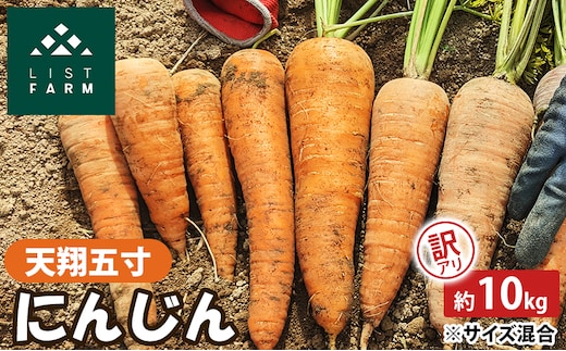 【 訳アリ 】 人参 約 10kg 9月 収穫 予定 リストファーム サイズ 混合 天翔五寸 にんじん 産地直送 野菜