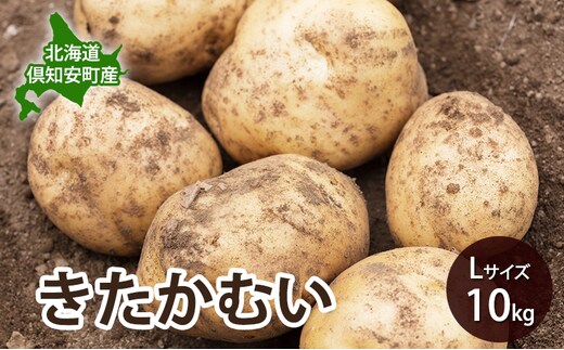 【 2026年 出荷 先行予約 】 北海道 倶知安 産 じゃがいも きたかむい L サイズ 10kg 馬鈴薯 いも 芋 グリーンアースファーム 農家 直送 野菜 産地直送