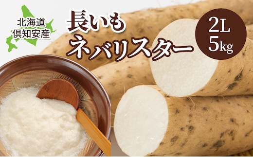 【 2026年 出荷 】 北海道 俱知安町産 ネバリスター 計5kg 北海道産 芋 ながいも 長芋 とろろ 新鮮 フレッシュ 野菜 農作物 産直 山芋 大和芋 イチョウ芋 麦とろ 山かけ おつまみ グリーンアースファーム 送料無料 倶知安町