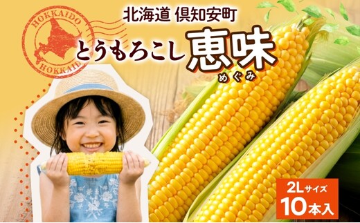 朝もぎ イエロー とうもろこし 恵味 2Lサイズ 10本 お試し 大きめ 夏野菜 とうきび 旬 新鮮 野菜 トウモロコシ 甘い ギフト 産地直送 コーン 産直 グリーンアースファーム 送料無料 北海道 倶知安町