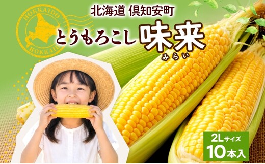 朝もぎ イエロー とうもろこし 味来 みらい 2Lサイズ 10本 お試し 大きめ 夏野菜 とうきび 旬 新鮮 野菜 トウモロコシ 甘い ギフト 産地直送 コーン 産直 グリーンアースファーム 送料無料 北海道 倶知安町