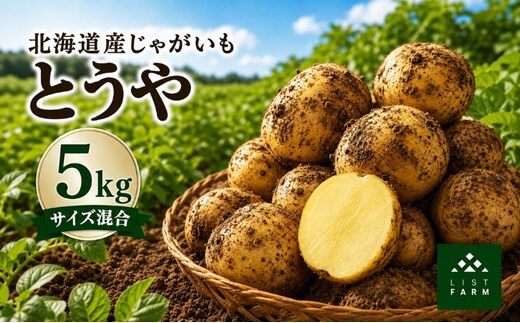 北海道 倶知安 じゃがいも とうや 5kg リストファーム サイズ 混合 馬鈴薯 芋 ポテト イモ 産地直送 野菜