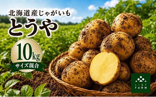 北海道 倶知安 じゃがいも とうや 10kg リストファーム サイズ 混合 馬鈴薯 芋 ポテト イモ 産地直送 野菜