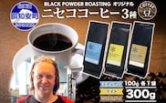 ニセココーヒー 飲み比べ コーヒー 豆 3種 計300g ミディアム ライト ダークロースト 豆 珈琲 専門店 ドリップコーヒー 豆 小分け 自家焙煎 グアテマラ豆 グリーンファームカフェ 挽きたてコーヒー 