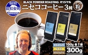 ニセココーヒー 飲み比べ コーヒー 挽き豆 3種 計300g ミディアム ライト ダークロースト 珈琲 専門店 ドリップコーヒー 豆 小分け 自家焙煎 グアテマラ豆 グリーンファームカフェ 挽きたてコーヒー 