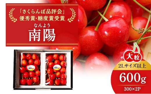 先行受付 北海道 仁木町産 ジャンボサイズ さくらんぼ 【 南陽 】 2Lサイズ以上 300g×2パック 計600g サクランボ チェリー フルーツ 果物 果物類 仁木町 仁木 [嶋田茂農園匠]
