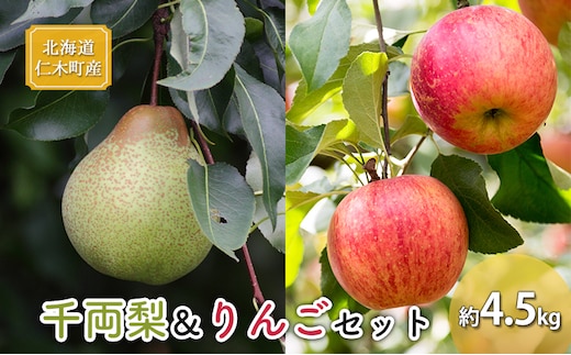 [2026年発送] 北海道 仁木町産 千両梨＆りんごセット 約4.5kg 果物類 果物 くだもの フルーツ 林檎 リンゴ ナシ 詰合せ 先行予約 [くだもの直売 もり園]