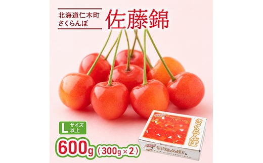 2027年発送 さくらんぼ 佐藤錦 600g (300g×2P) Lサイズ 北海道 仁木町 国産 旬のフルーツ 旬の果物 デザートサクランボ チェリー フルーツ 果物 果物類 仁木 [カムナビファーム]
