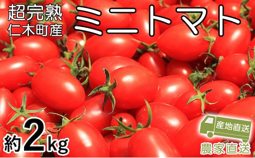 8月発送開始[先行受付] 超完熟ミニトマト【アイコ】2kg（1kg×2箱）栽培期間中 農薬・除草剤不使用 サイズ混載 トマト ミニトマト アイコ 野菜 北海道 仁木町 [アイコファーム] 