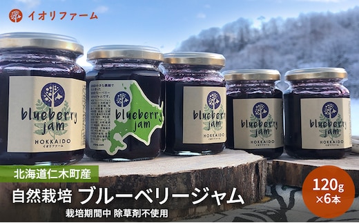 北海道仁木町産 ブルーベリージャム 120g×6本 [iori farm] 栽培期間中 除草剤不使用 果物 詰合せ セット フルーツ 