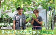 先行受付 2024年10月から順次出荷 北海道 仁木町産 シャインマスカット 水田農園