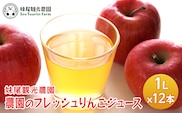 [2026年発送] 農園のフレッシュりんごジュース 1L×12本 北海道 仁木 果物 フルーツ リンゴ 飲料類 果汁飲料 果物類 林檎 [フルーツショップ妹尾観光農園]