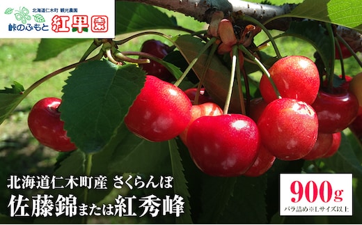 さくらんぼ 2027年発送 北海道 仁木町産 さくらんぼ【 佐藤錦 】又は【 紅秀峰 】バラ詰め 900g Lサイズ以上 食後 デザート 旬の果物 サクランボ チェリー フルーツ 果物 果物類 仁木町 仁木 [峠のふもと紅果園]