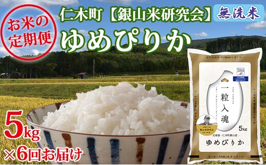 【2025年産米】6ヵ月 定期便 銀山米研究会の無洗米＜ゆめぴりか＞5kg ご飯 ライス 白米 ブランド米 おにぎり お弁当 北海道産 産地直送 ご飯 時短 朝ごはん 夜ごはん 昼ごはん [株式会社 松原米穀]