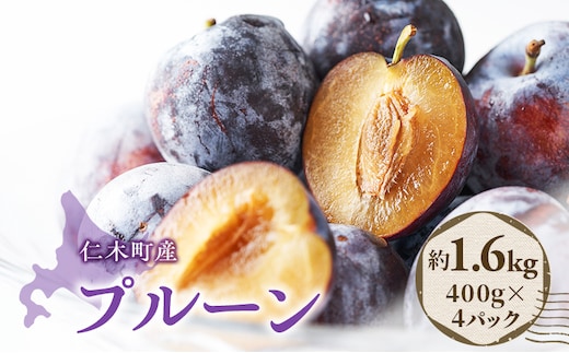 [先行受付] 北海道 仁木町産 季節のプルーン 1.6kg（400g×4パック）プルーン 果物 果物類 くだもの フルーツ [JA新おたる]
