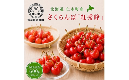 2027年発送 北海道 仁木町産 さくらんぼ 「紅秀峰」 M-L混合 600g (300g×2パック) 国産 旬のフルーツ 旬の果物 デザートサクランボ チェリー フルーツ 果物 果物類 仁木 [フルーツショップ妹尾観光農園] 