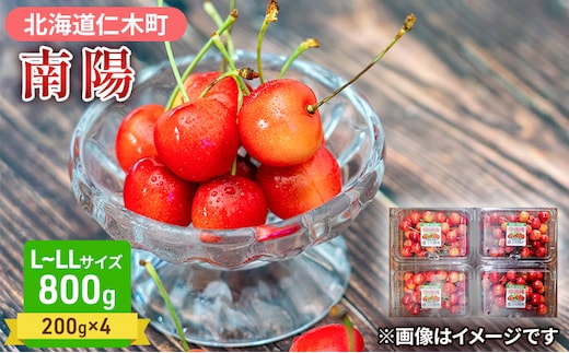 先行受付 さくらんぼ 南陽 800g（200g×4）L-LLサイズ混合 サクランボ チェリー フルーツ 果物 果物類 北海道 仁木町 仁木 [大塚農園]