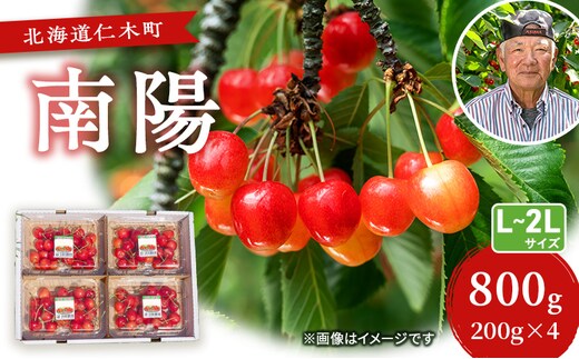 先行受付 さくらんぼ【 南陽 】800g（200g×4）L-LLサイズ混合 サクランボ チェリー フルーツ 果物 果物類 ギフト 北海道 仁木町 仁木 [横山農園]