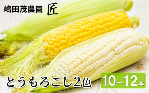 [2027年発送] 北海道 仁木町産 新鮮 とうもろこし 2色セット【10～12本】 野菜 トウモロコシ コーン [株式会社 嶋田茂農園匠]